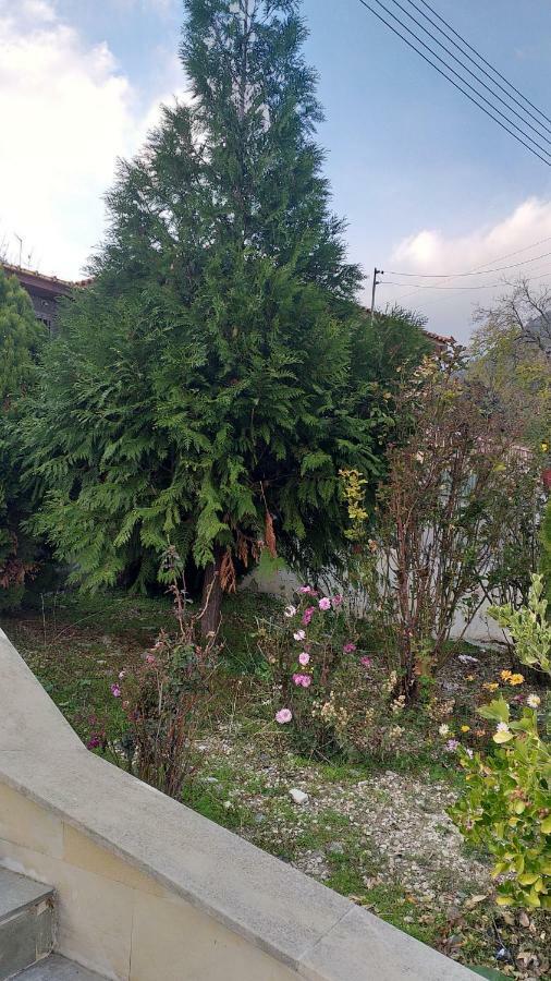 Protopapas House Kato Amiandos Exterior photo